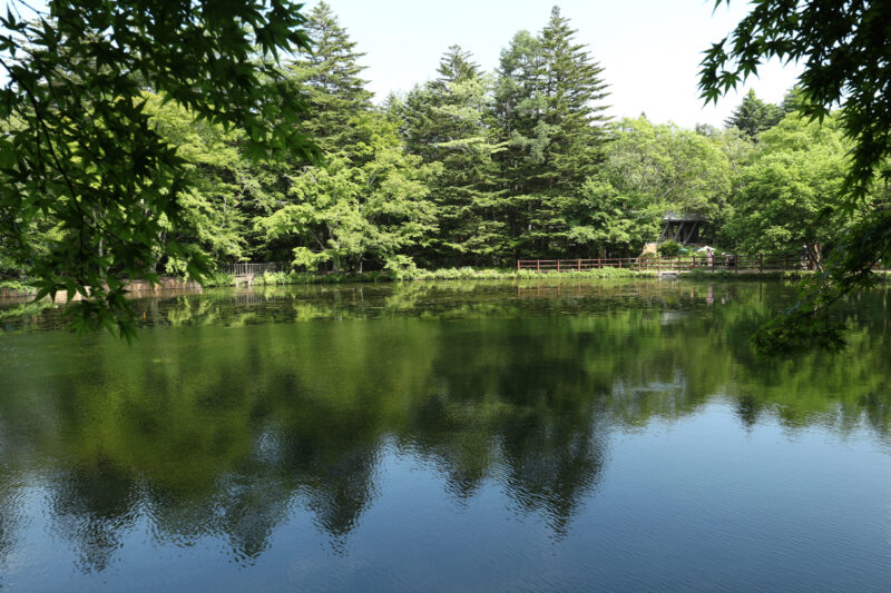 軽井沢雲場池（長野）