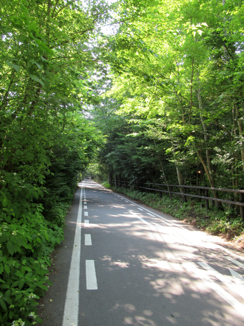 軽井沢サナトリウムレーン（長野）