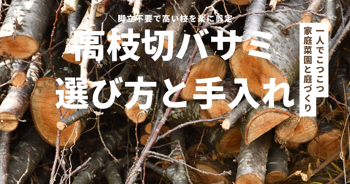 高い枝を楽に剪定！高枝切バサミの選び方と手入れ法